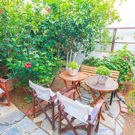 Kallisti Apartments スキアトスタウン 部屋 写真
