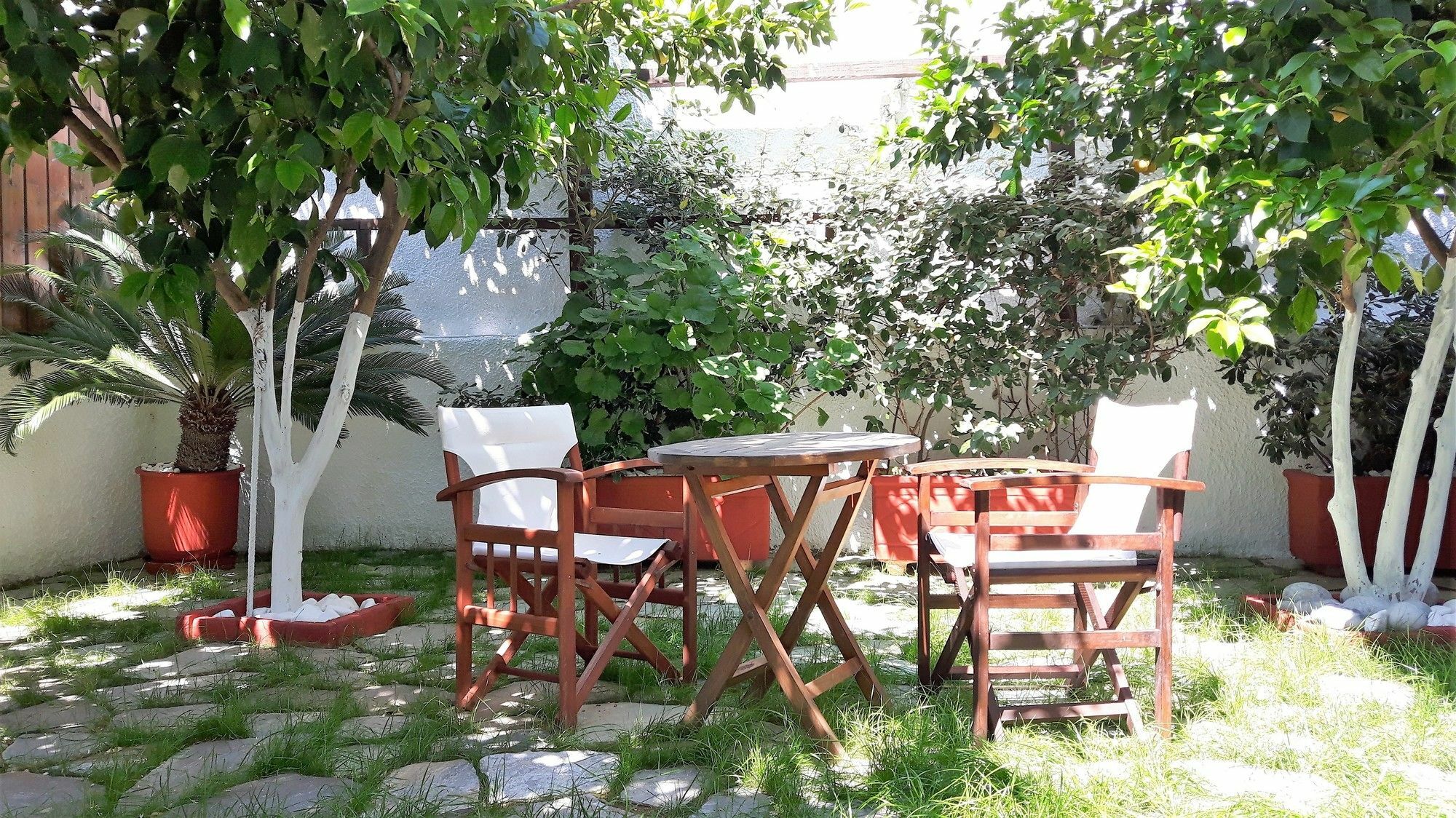 Kallisti Apartments スキアトスタウン エクステリア 写真